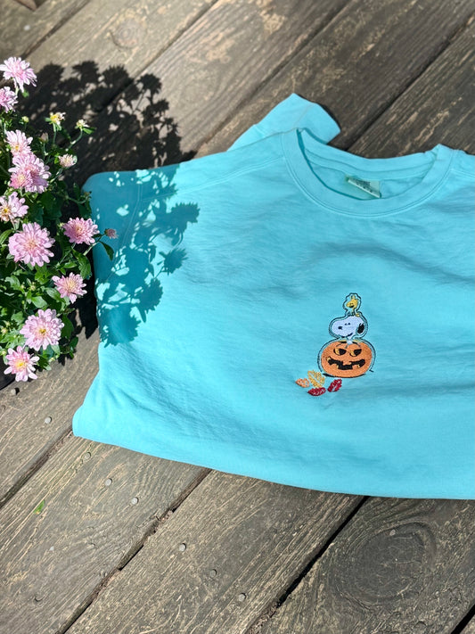 Snoopy and Woodstock crewneck sweatshirts