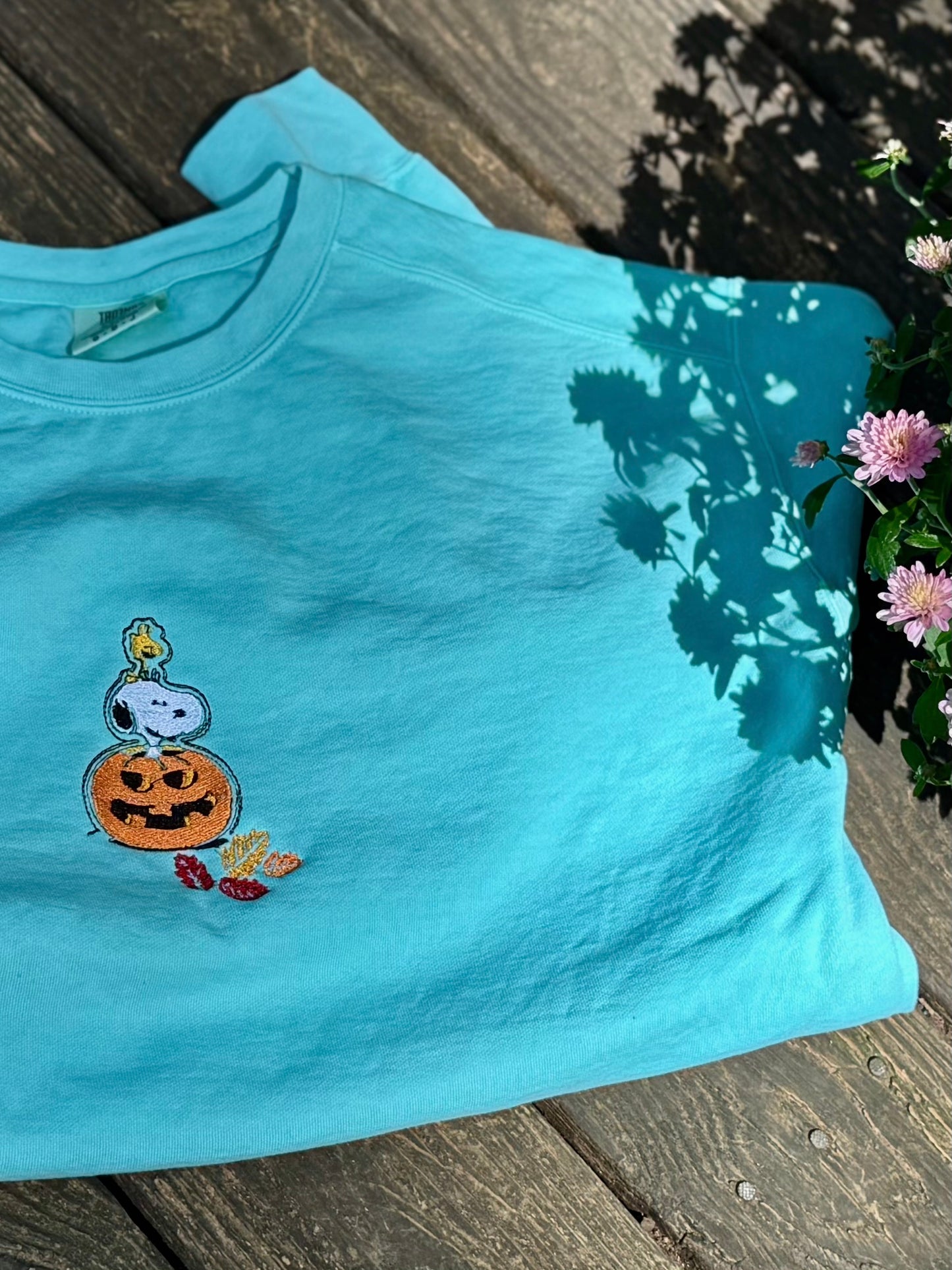 Snoopy and Woodstock crewneck sweatshirts