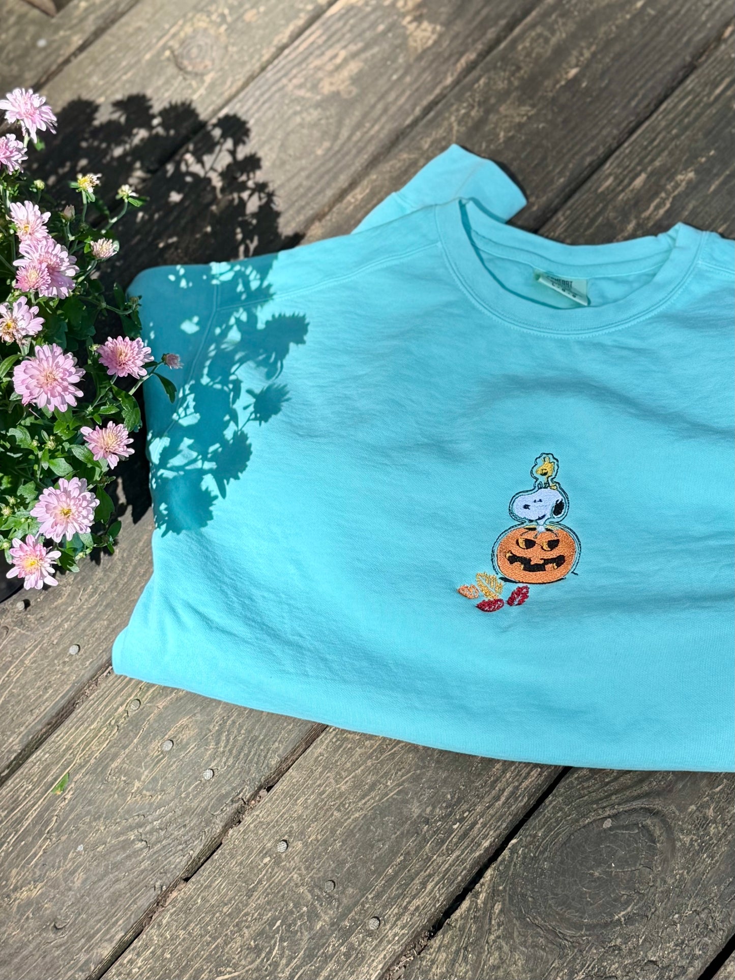 Snoopy and Woodstock crewneck sweatshirts