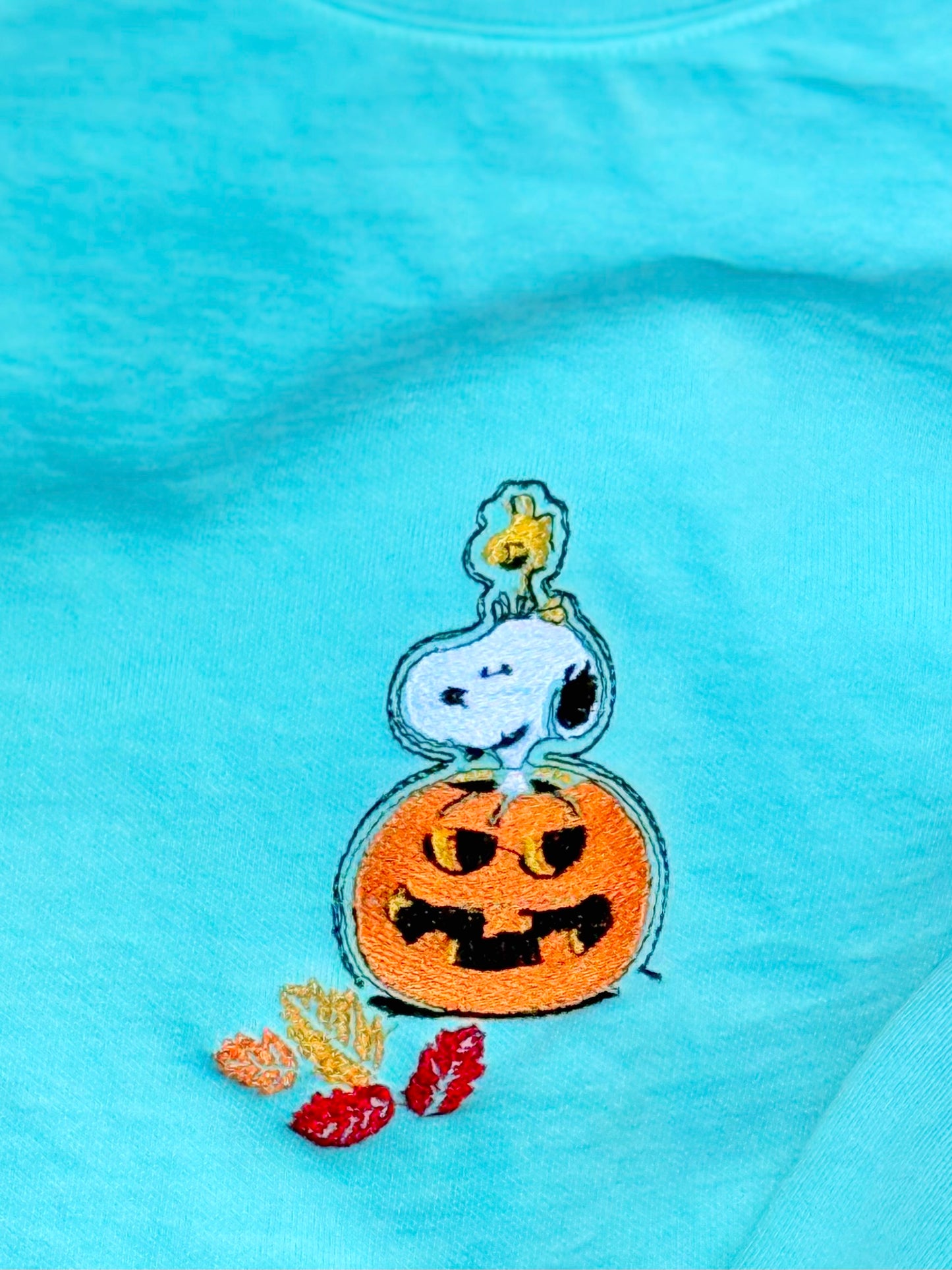 Snoopy and Woodstock crewneck sweatshirts